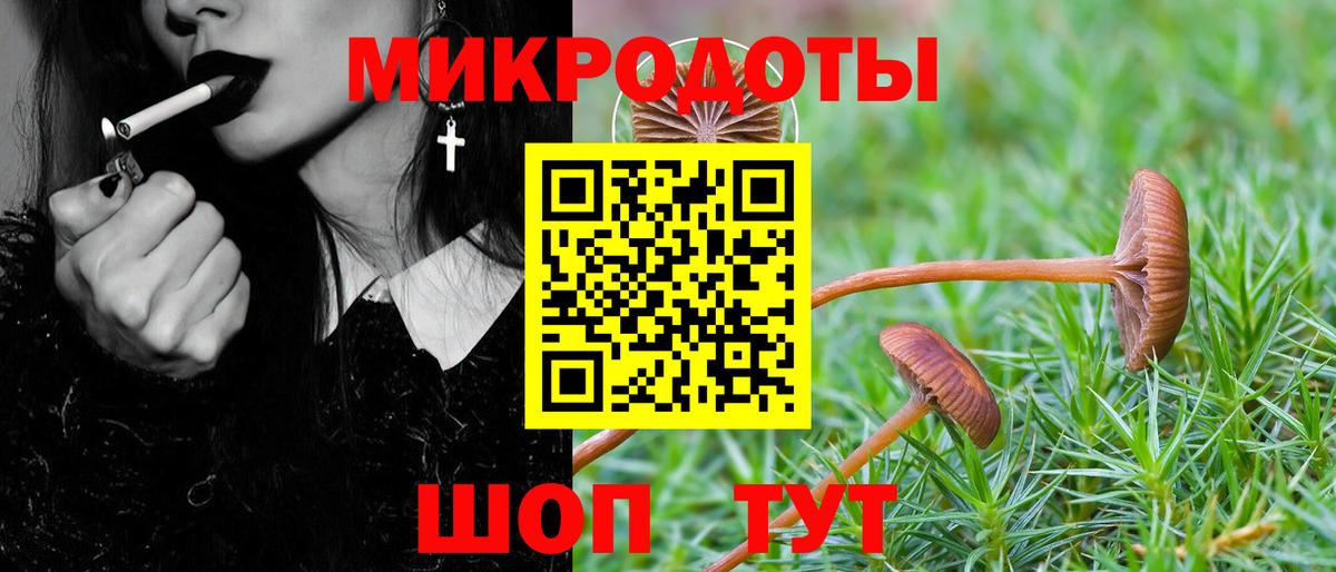 Галлюциногенные грибы Psilocybe Мелеуз