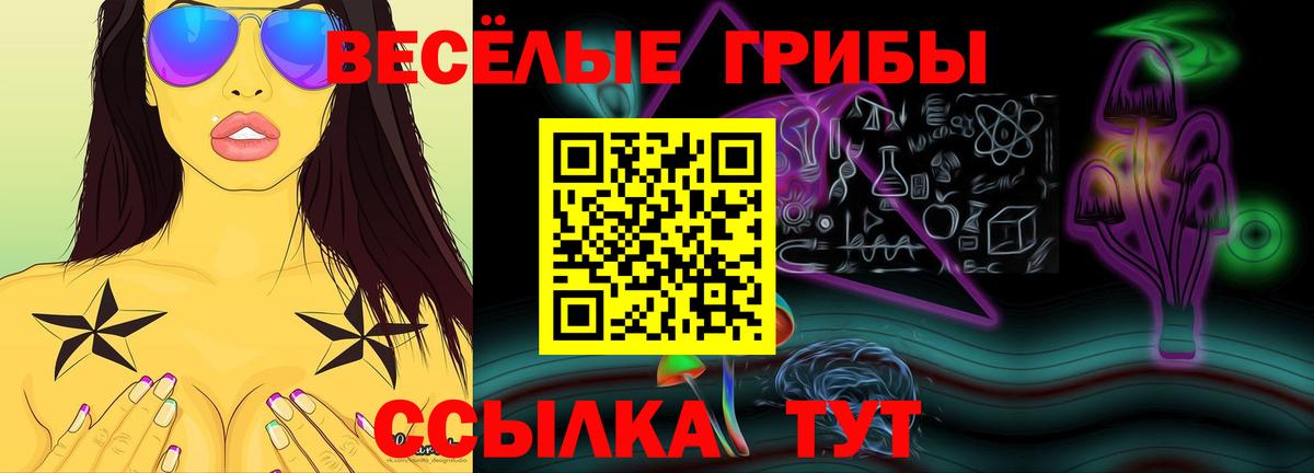 Мелеуз  Псилоцибиновые грибы мухоморы  Вход с VPN  Псилоцибиновые грибы мухоморы 